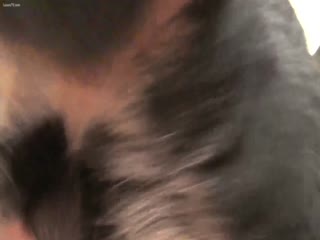 Dog pov fuck woman crazy show cam