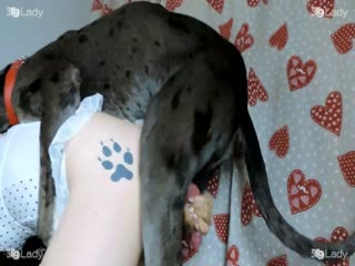 Horny chick MILF fucking animals - Dog xxx