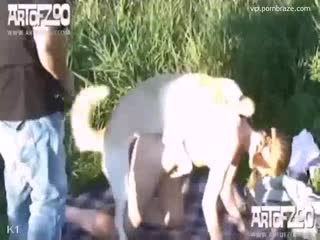 slave girl setup sex dog public