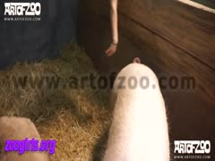 animal fucking girl