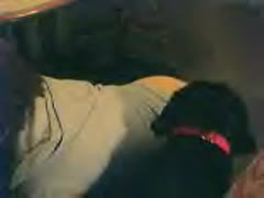 Hot big tits Love her dog