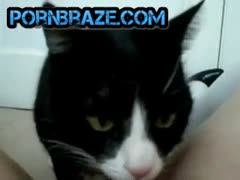 cat lick lip pussy