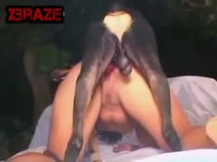 She Cleaning Red Cock Dog