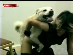 orgy Dog Deep Pussy The girl on room