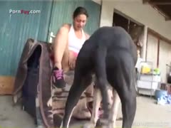 lucky big dog fuck curly girl public