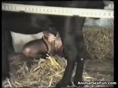 Deepthroat horse sex fun