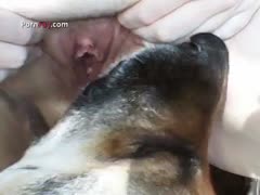 Teen Curve Loving Dog licking