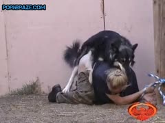 Human Teach Dog How Fucking Woman- Animal Porn Free