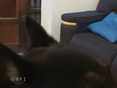 Juicy slut want to be fucked so hard