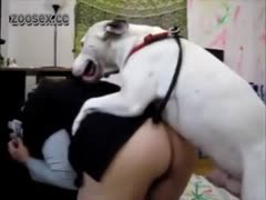 Dog Fucking Girl - Dog And Girl
