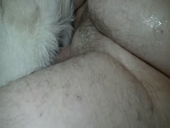 White big dog fucks in the ass owner