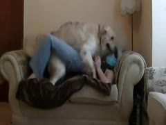 Dog porn video recorded on spy cam