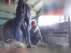 College Student Embraces the Adventure of Horseback Riding: Living Life to the Fullest!