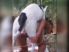 MILF and Dog Find Perfect Spot in Forest to Enjoy X-Rated Lovemaking!