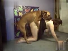 Wild and Energetic Dog with Dark Muzzle Gives XXX Owner an Unforgettable Doggystyle Experience!