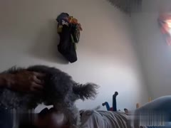 Watch Babe's Unforgettable Bestiality Blowjob: A XXX Hot Movie Not to Be Missed!