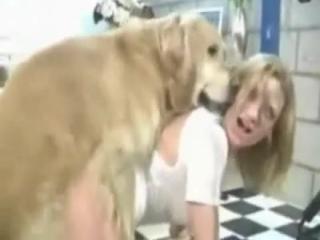 The hottest collection of female genitalia performed in a canine style sex xxx zoo film available for free download